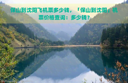 保山到沈阳飞机票多少钱，「保山到沈阳」机票价格查询：多少钱？