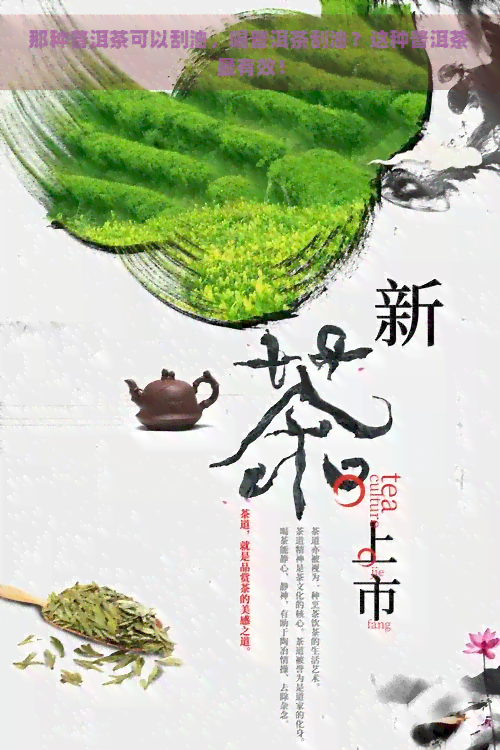 那种普洱茶可以刮油，喝普洱茶刮油？这种普洱茶最有效！