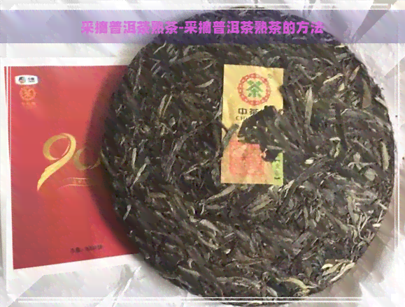 采摘普洱茶熟茶-采摘普洱茶熟茶的方法