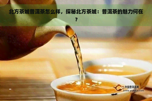 北方茶城普洱茶怎么样，探秘北方茶城：普洱茶的魅力何在？