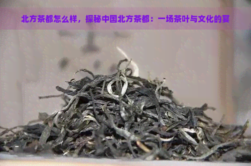 北方茶都怎么样，探秘中国北方茶都：一场茶叶与文化的宴