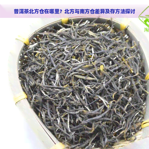 普洱茶北方仓在哪里？北方与南方仓差异及存方法探讨