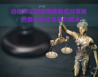 逾期猎鹰应对策略：合规处理还是解决？