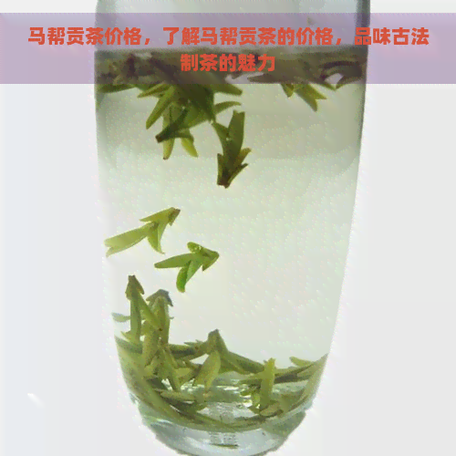 马帮贡茶价格，了解马帮贡茶的价格，品味古法制茶的魅力