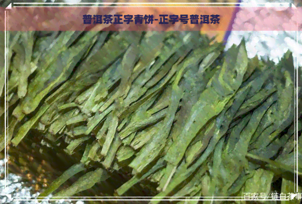 普洱茶正字青饼-正字号普洱茶