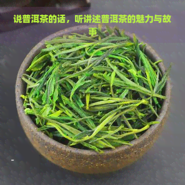 说普洱茶的话，听讲述普洱茶的魅力与故事