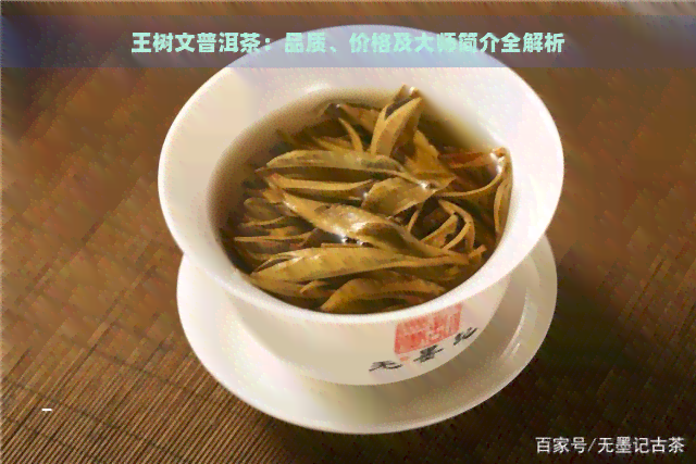 王树文普洱茶：品质、价格及大师简介全解析