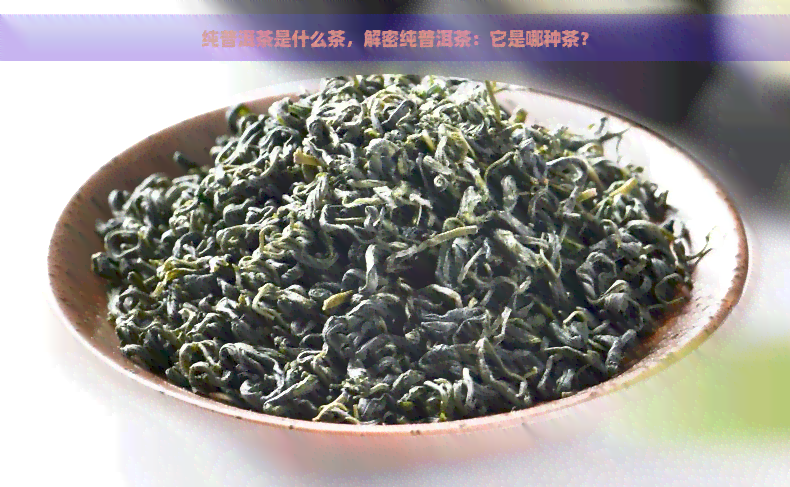 纯普洱茶是什么茶，解密纯普洱茶：它是哪种茶？