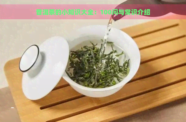 普洱茶的小知识大全：100问与常识介绍