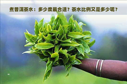 煮普洱茶水：多少度最合适？茶水比例又是多少呢？