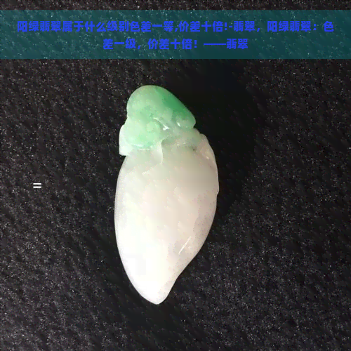 阳绿翡翠属于什么级别色差一等,价差十倍!-翡翠，阳绿翡翠：色差一级，价差十倍！——翡翠