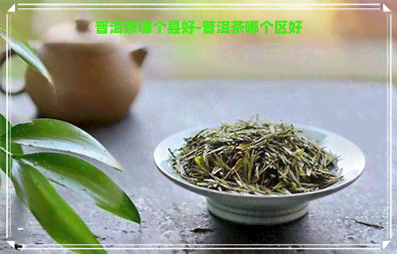 普洱茶哪个县好-普洱茶哪个区好