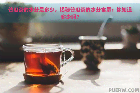 普洱茶的水分是多少，揭秘普洱茶的水分含量：你知道多少吗？