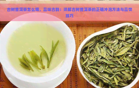 古树普洱茶怎么喝，品味古韵：详解古树普洱茶的正确冲泡方法与品饮技巧