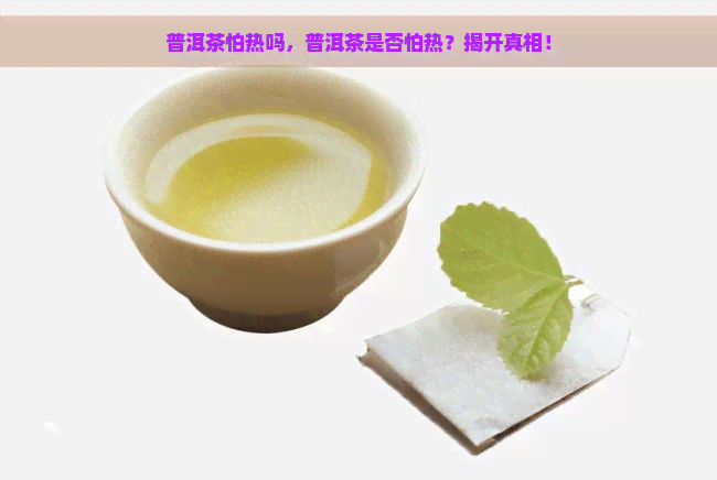 普洱茶怕热吗，普洱茶是否怕热？揭开真相！