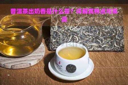 普洱茶出奶香是什么茶？详解其特点与来源