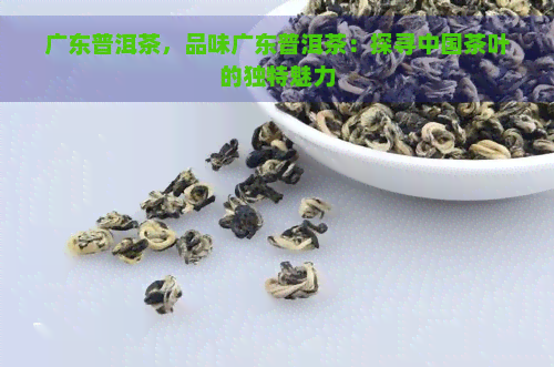 广东普洱茶，品味广东普洱茶：探寻中国茶叶的独特魅力