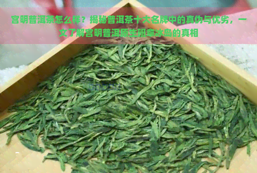 宫明普洱茶怎么样？揭秘普洱茶十大名牌中的真伪与优劣，一文了解宫明普洱原生班章冰岛的真相