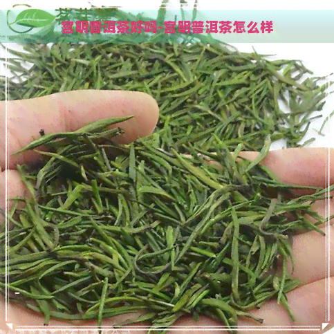 宫明普洱茶好吗-宫明普洱茶怎么样