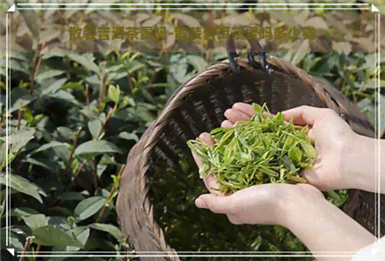 散装普洱茶贵吗-散装普洱茶贵吗多少钱