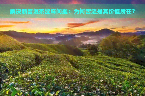 解决新普洱茶涩味问题：为何苦涩是其价值所在？