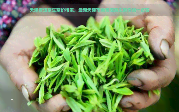 天津普洱茶生茶价格表，最新天津市场普洱茶生茶价格一览表