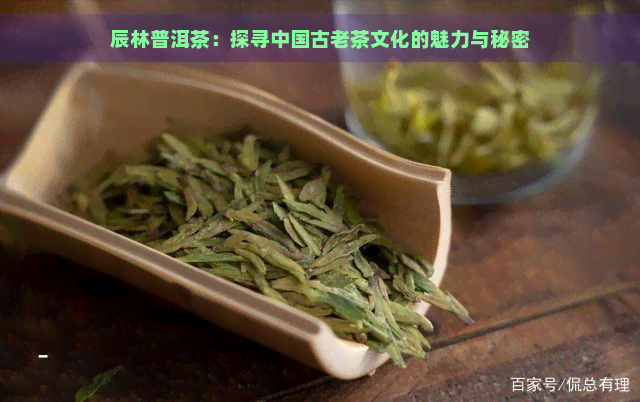 辰林普洱茶：探寻中国古老茶文化的魅力与秘密