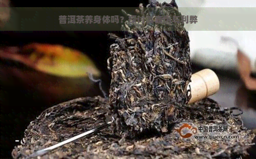 普洱茶养身体吗？探讨其真伪与利弊