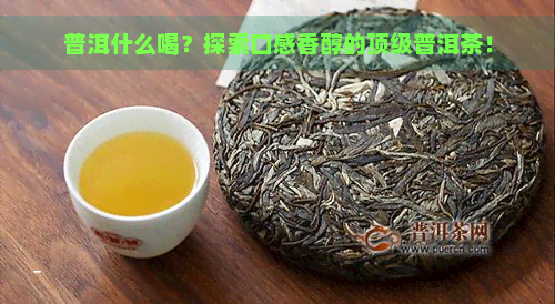 普洱什么喝？探索口感香醇的顶级普洱茶！