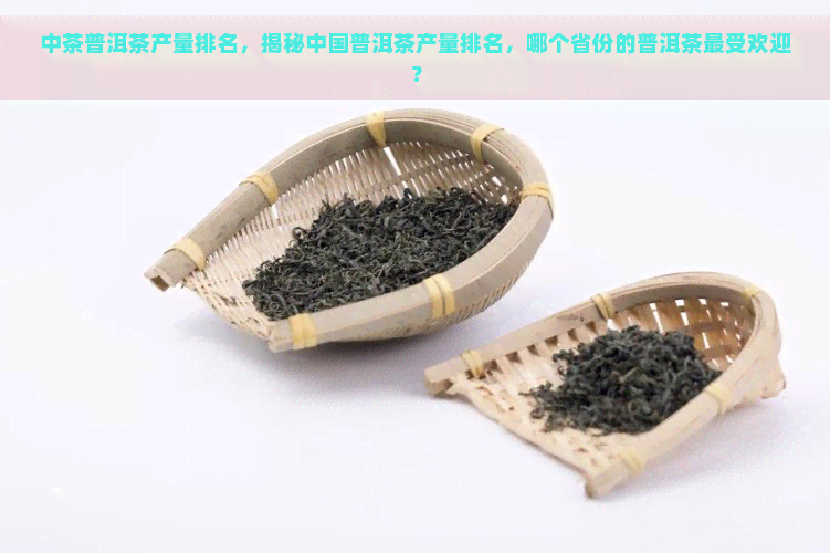 中茶普洱茶产量排名，揭秘中国普洱茶产量排名，哪个省份的普洱茶更受欢迎？