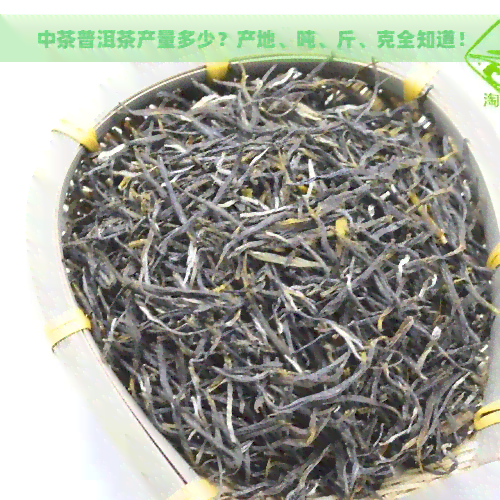 中茶普洱茶产量多少？产地、吨、斤、克全知道！