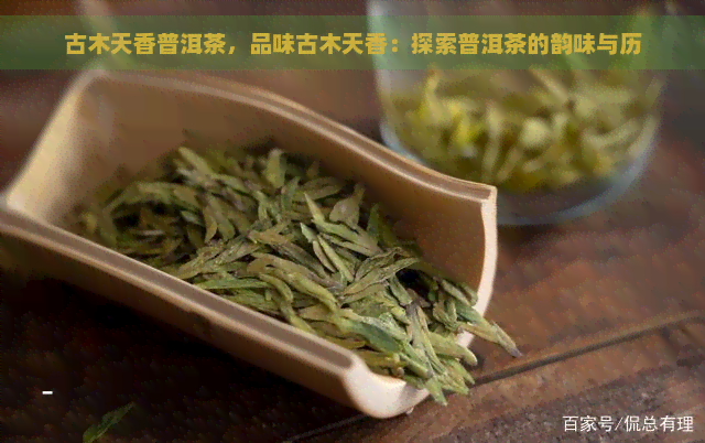 古木天香普洱茶，品味古木天香：探索普洱茶的韵味与历