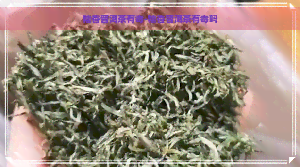 糯香普洱茶有-糯香普洱茶有吗