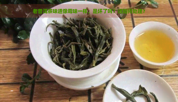 老普洱茶味道像霉味一样，是坏了吗？该如何处理？