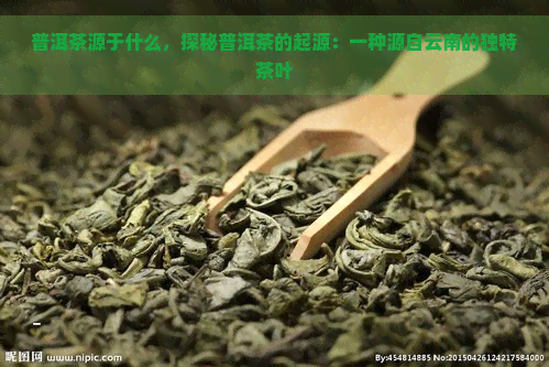 普洱茶源于什么，探秘普洱茶的起源：一种源自云南的独特茶叶