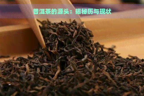 普洱茶的源头：揭秘历与现状