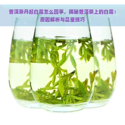 普洱茶丹起白霜怎么回事，揭秘普洱茶上的白霜：原因解析与品鉴技巧