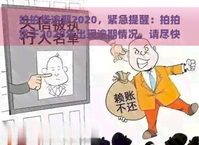 逾期2020，紧急提醒：于2020年出现逾期情况，请尽快处理！