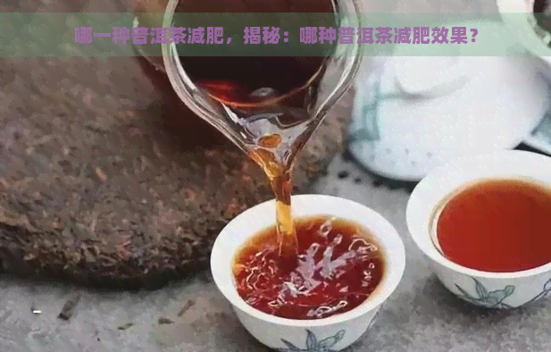 哪一种普洱茶减肥，揭秘：哪种普洱茶减肥效果？