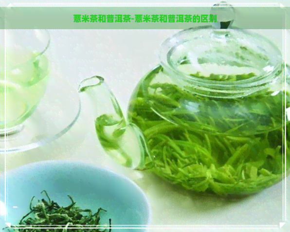 薏米茶和普洱茶-薏米茶和普洱茶的区别