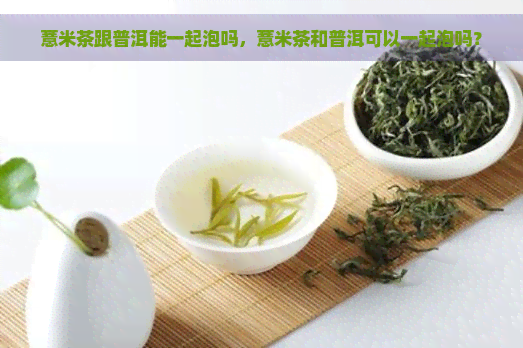 薏米茶跟普洱能一起泡吗，薏米茶和普洱可以一起泡吗？