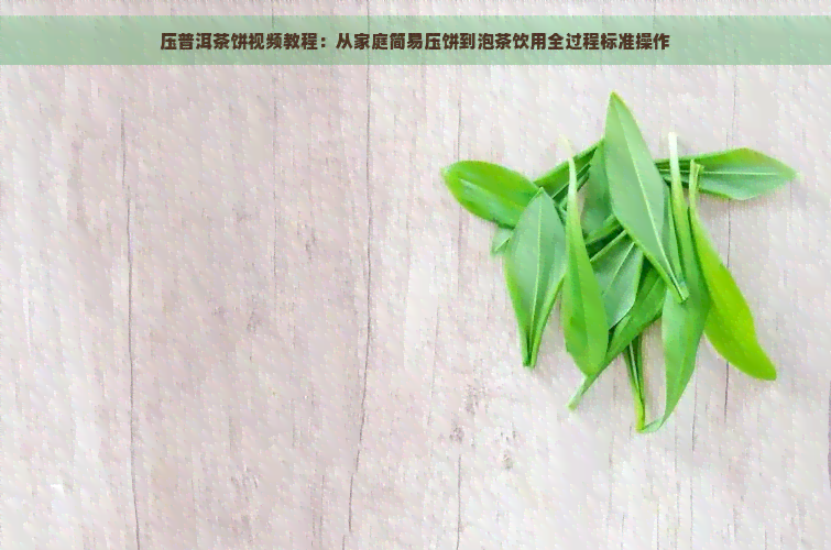 压普洱茶饼视频教程：从家庭简易压饼到泡茶饮用全过程标准操作