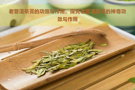 老普洱茶膏的功效与作用，探究老普洱茶膏的神奇功效与作用