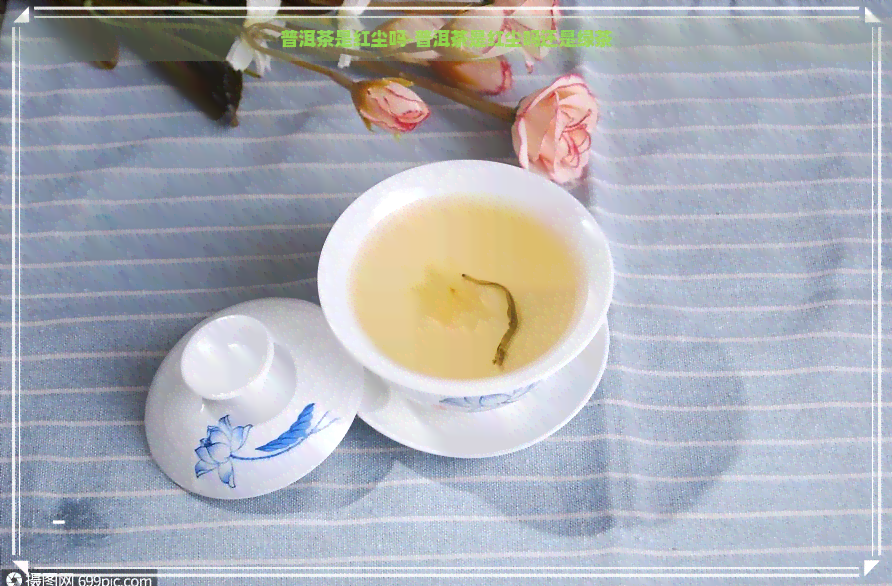 普洱茶是红尘吗-普洱茶是红尘吗还是绿茶