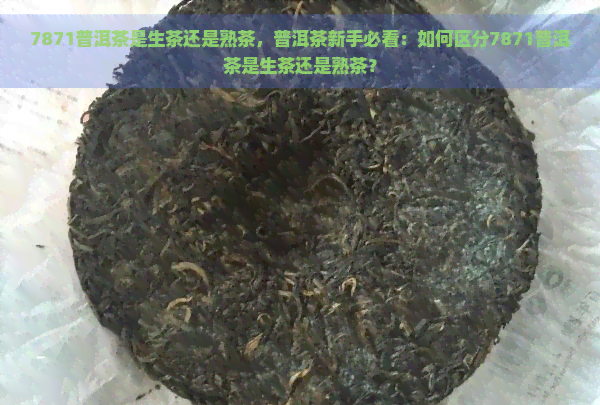 7871普洱茶是生茶还是熟茶，普洱茶新手必看：如何区分7871普洱茶是生茶还是熟茶？