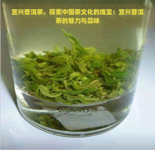 宜兴普洱茶，探索中国茶文化的瑰宝：宜兴普洱茶的魅力与品味