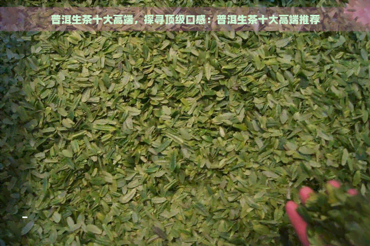 普洱生茶十大高端，探寻顶级口感：普洱生茶十大高端推荐