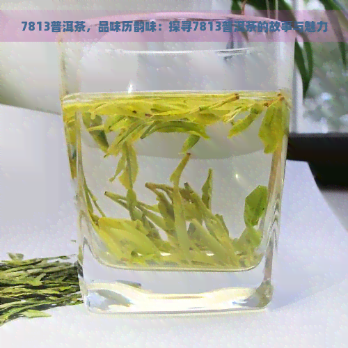 7813普洱茶，品味历韵味：探寻7813普洱茶的故事与魅力