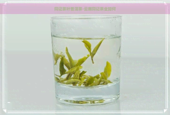 同记茶叶普洱茶-云南同记茶业如何