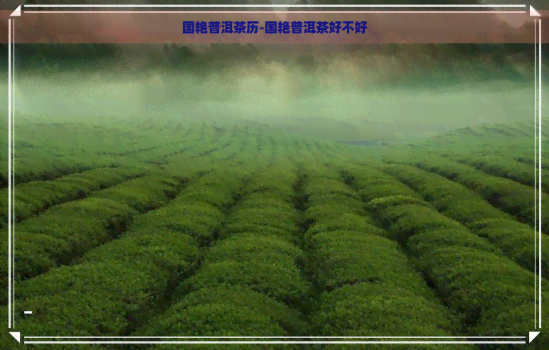 国艳普洱茶历-国艳普洱茶好不好